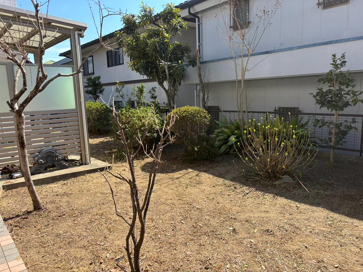 植栽を整理してすっきりとした施工後の庭の様子