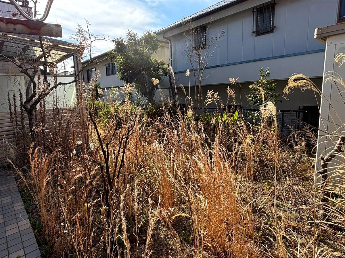 枯れ草が茂った施工前の庭の様子